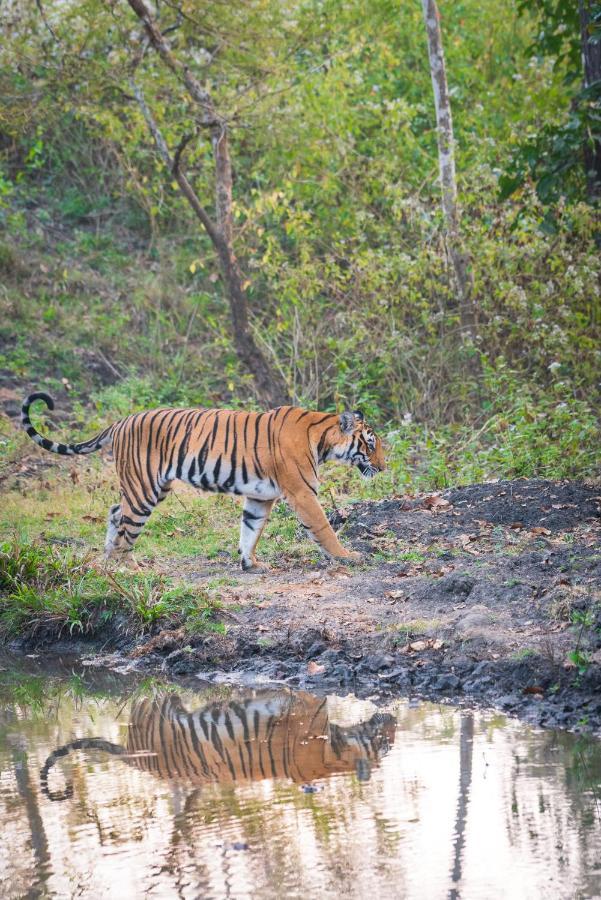 Kaav Safari Lodge, Kabini Begur Экстерьер фото