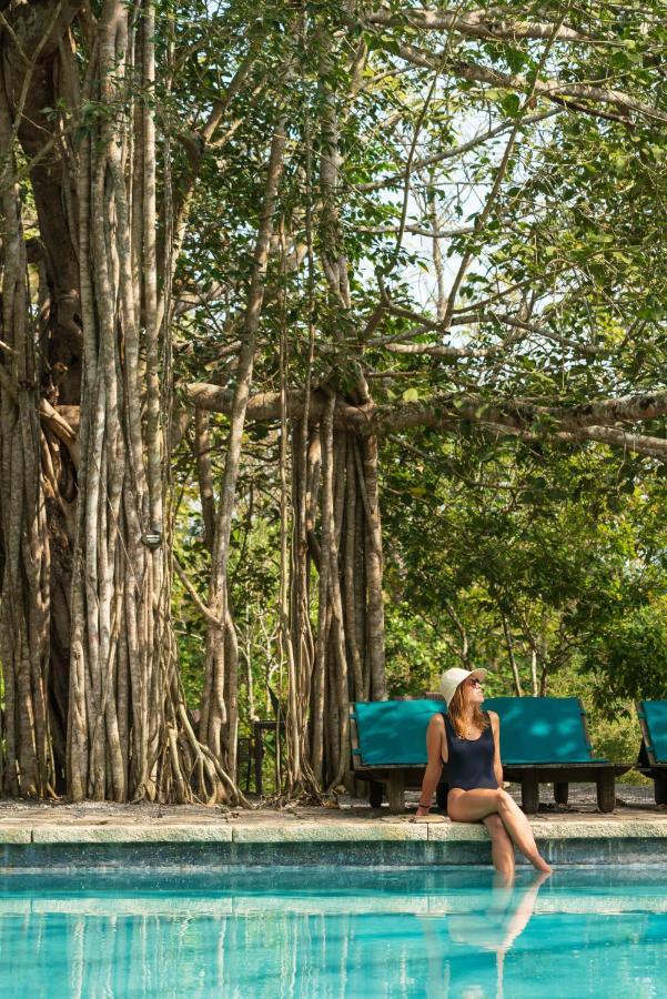 Kaav Safari Lodge, Kabini Begur Экстерьер фото