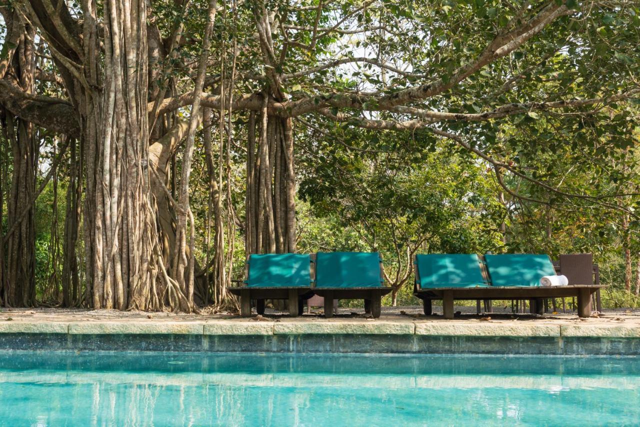 Kaav Safari Lodge, Kabini Begur Экстерьер фото