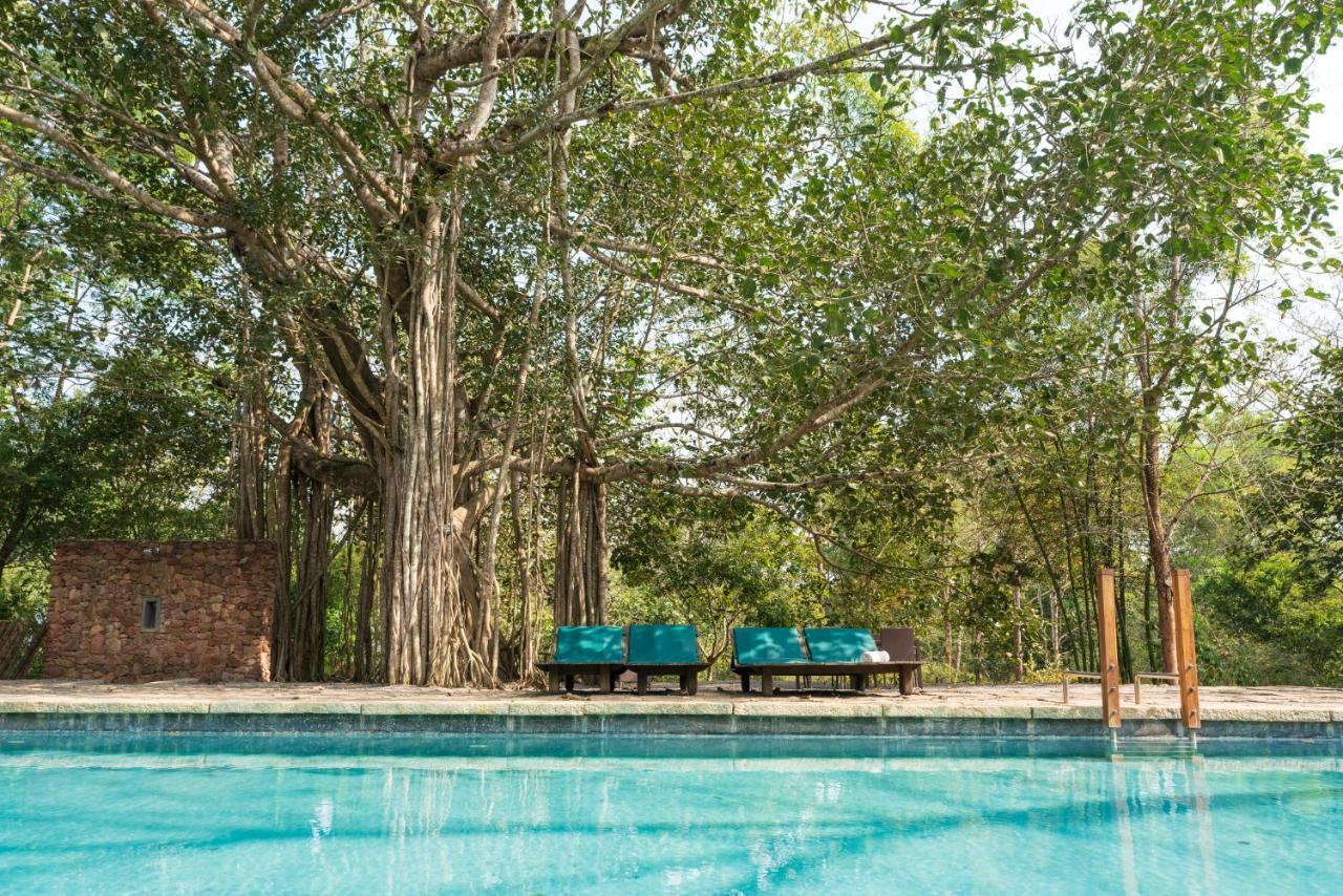 Kaav Safari Lodge, Kabini Begur Экстерьер фото