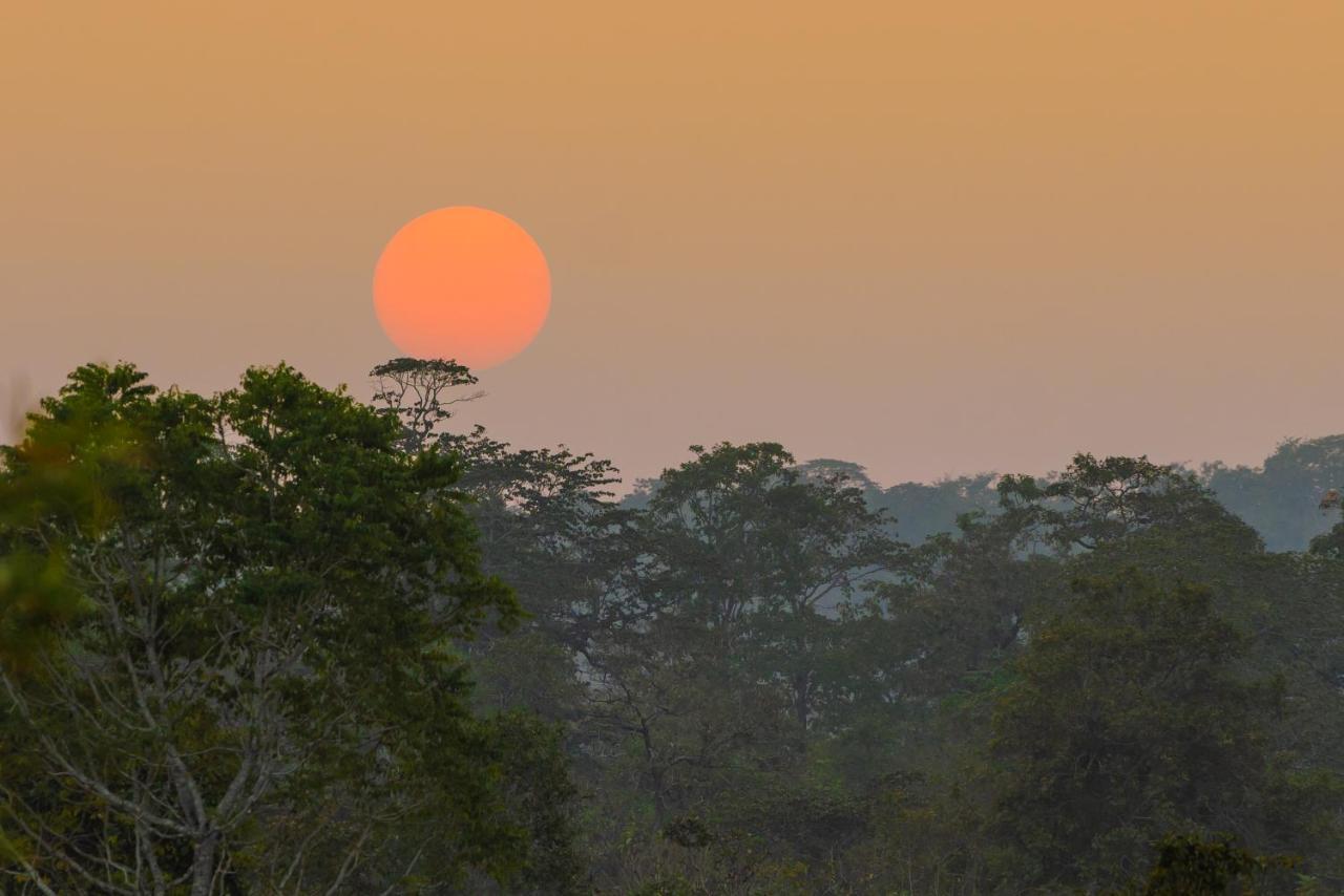 Kaav Safari Lodge, Kabini Begur Экстерьер фото